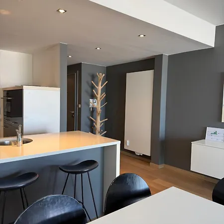 Zeezicht Rubensplein - 3slpk - Gratis Parking Apartmán